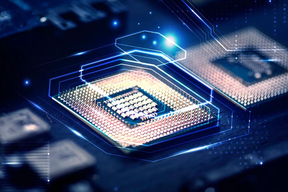 女排成员名单 2021年女排队员名单及编号